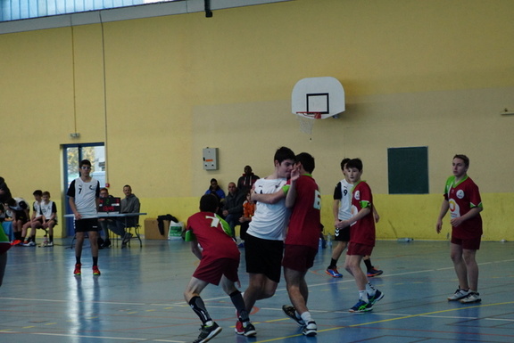 15G gaillac 07012017 040